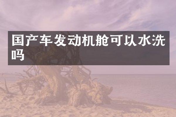 国产车发动机舱可以水洗吗