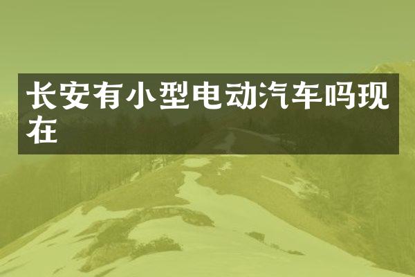 长安有小型电动汽车吗现在