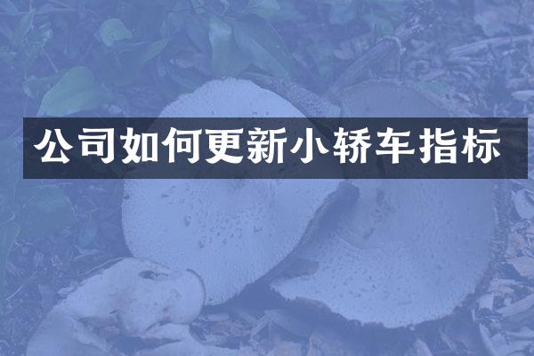 公司如何更新小轿车指标