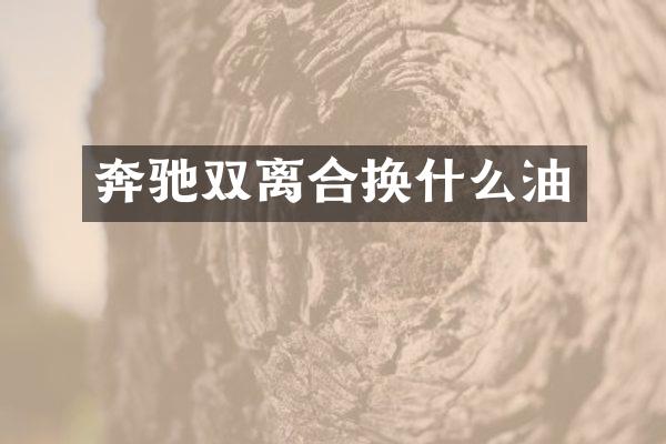 奔驰双离合换什么油