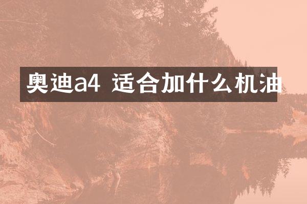 奥迪a4 适合加什么机油