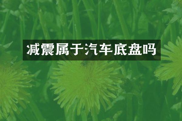 减震属于汽车底盘吗