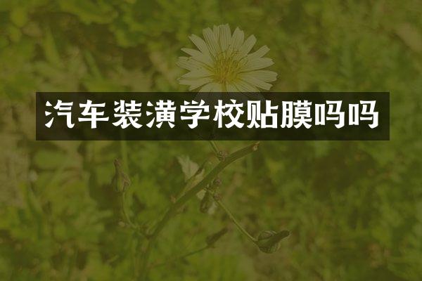 汽车装潢学校贴膜吗吗