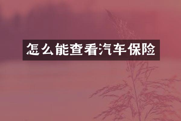 怎么能查看汽车保险