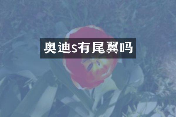 奥迪s有尾翼吗