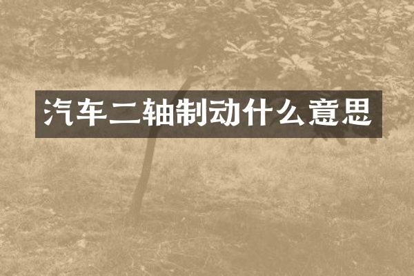 汽车二轴制动什么意思