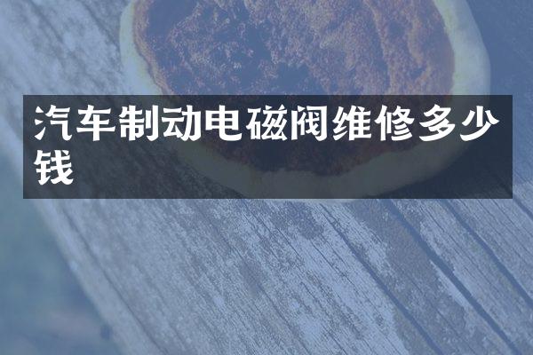 汽车制动电磁阀维修多少钱