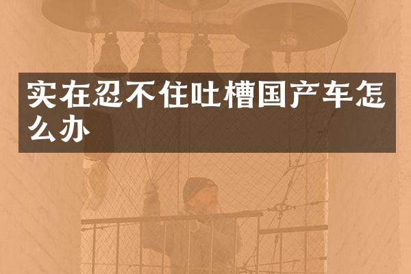实在忍不住吐槽国产车怎么办