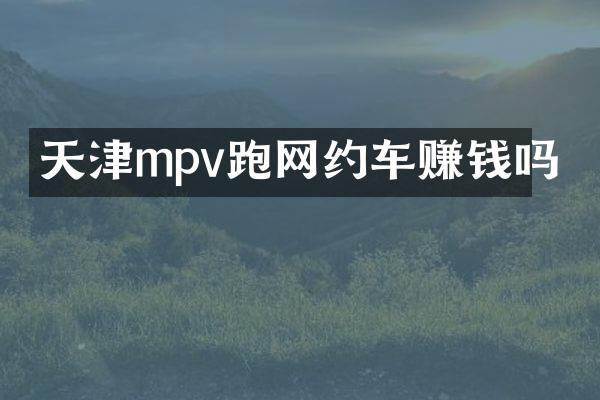 天津mpv跑网约车赚钱吗