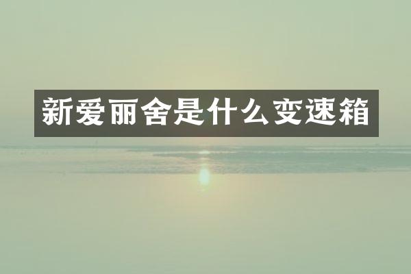 新爱丽舍是什么变速箱