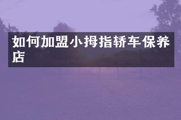 如何加盟小拇指轿车保养店