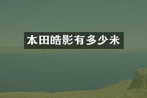 本田皓影有多少米