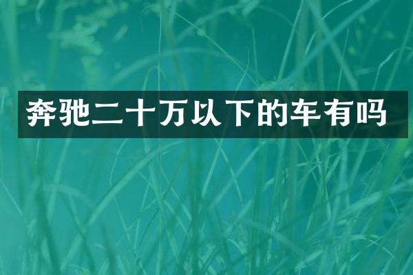 奔驰二十万以下的车有吗