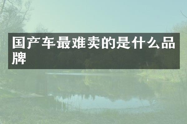 国产车最难卖的是什么品牌
