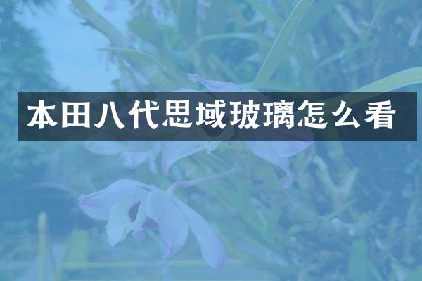 本田八代思域玻璃怎么看