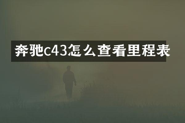 奔驰c43怎么查看里程表