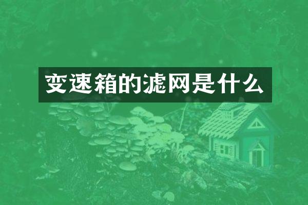 变速箱的滤网是什么