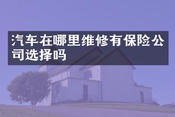 汽车在哪里维修有保险公司选择吗