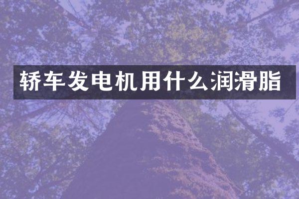 轿车发电机用什么润滑脂