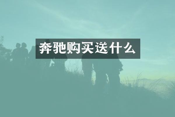 奔驰购买送什么