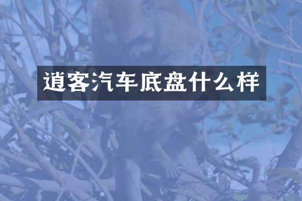 逍客汽车底盘什么样