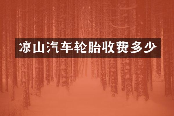 凉山汽车轮胎收费多少