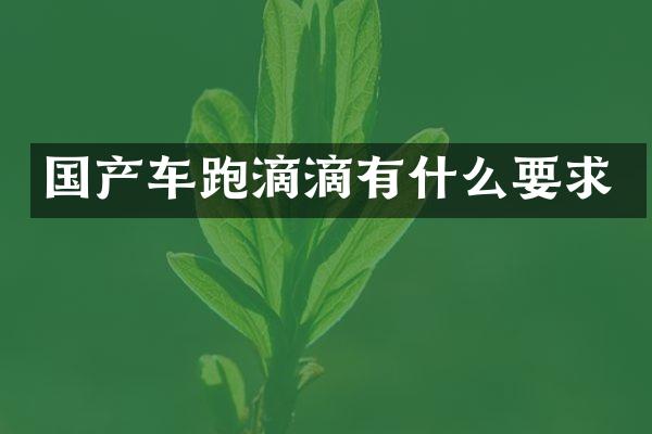 国产车跑滴滴有什么要求