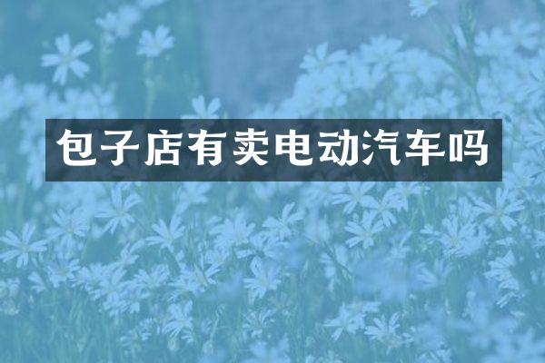 包子店有卖电动汽车吗