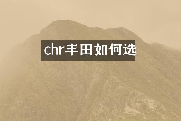 chr丰田如何选