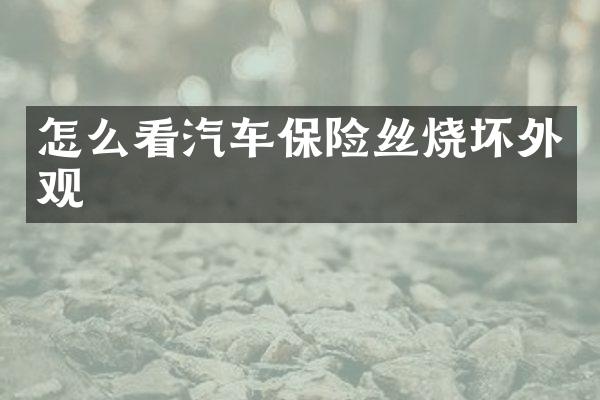 怎么看汽车保险丝烧坏外观