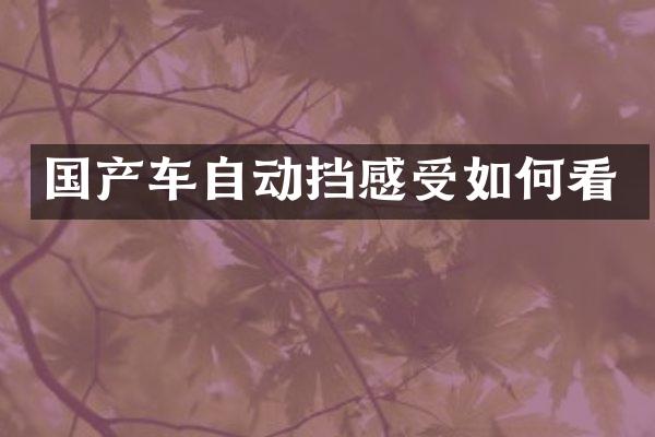 国产车自动挡感受如何看