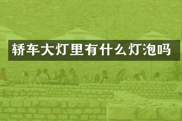 轿车大灯里有什么灯泡吗