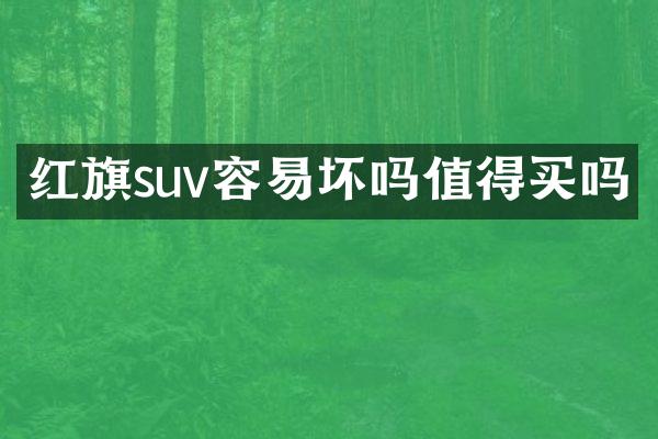 红旗suv容易坏吗值得买吗