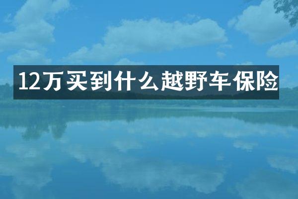 12万买到什么越野车保险