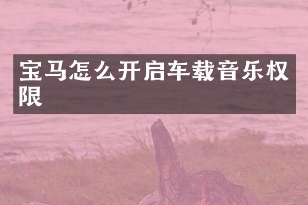 宝马怎么开启车载音乐权限