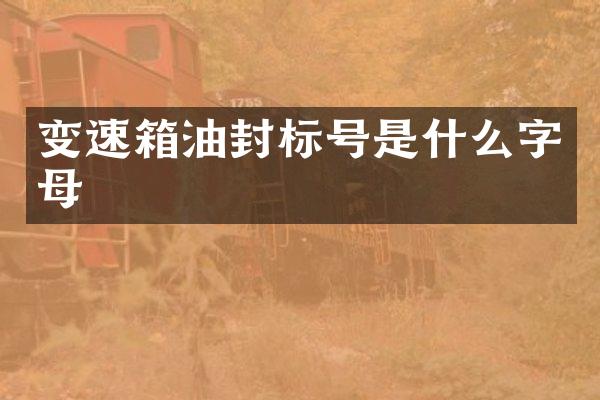 变速箱油封标号是什么字母