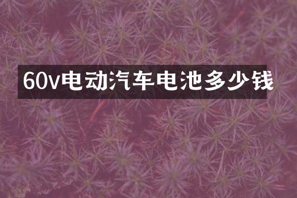 60v电动汽车电池多少钱