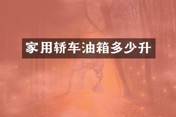 家用轿车油箱多少升