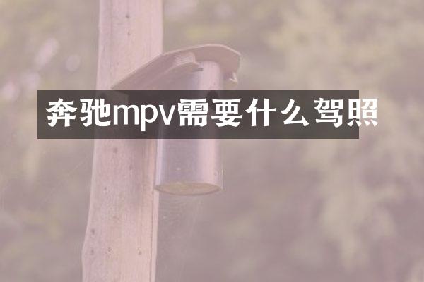 奔驰mpv需要什么驾照