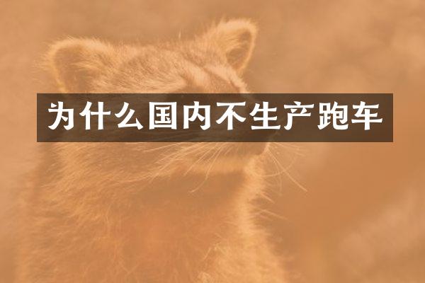 为什么国内不生产跑车