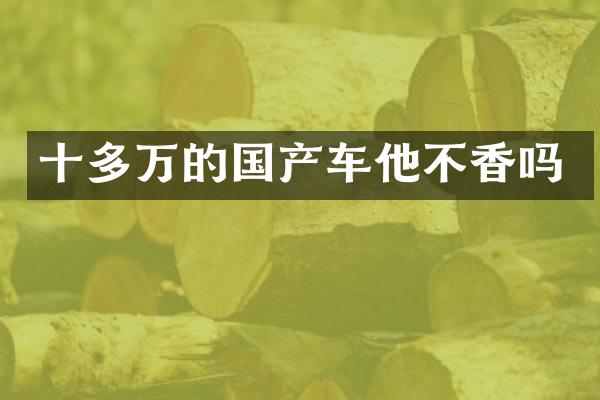 十多万的国产车他不香吗