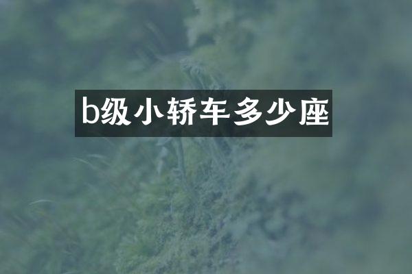b级小轿车多少座