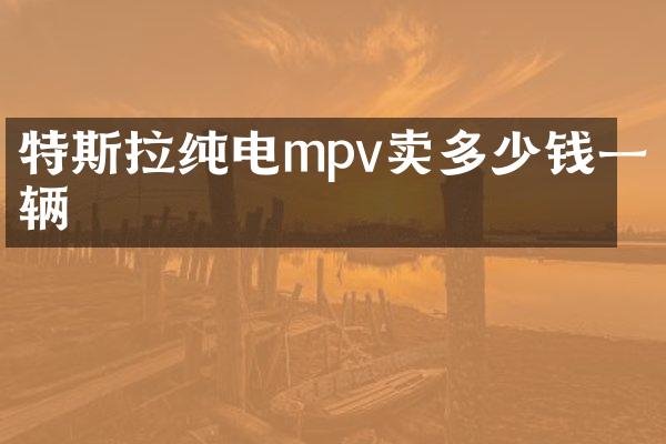 特斯拉纯电mpv卖多少钱一辆