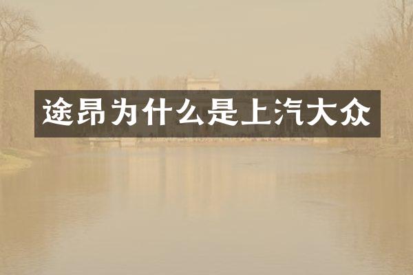 途昂为什么是上汽大众