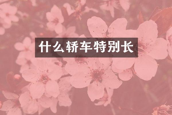 什么轿车特别长