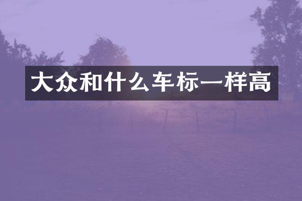 大众和什么车标一样高