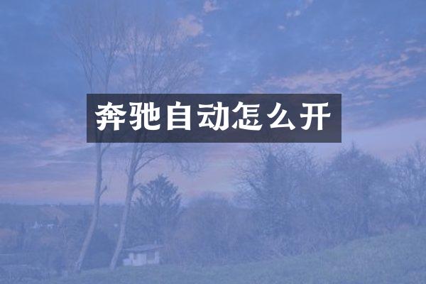 奔驰自动怎么开