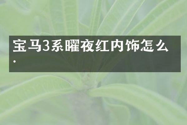 宝马3系曜夜红内饰怎么样