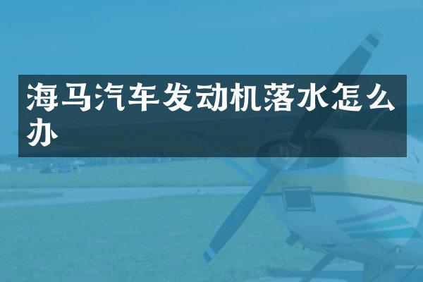 海马汽车发动机落水怎么办