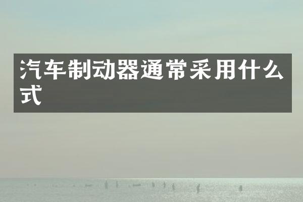 汽车制动器通常采用什么式